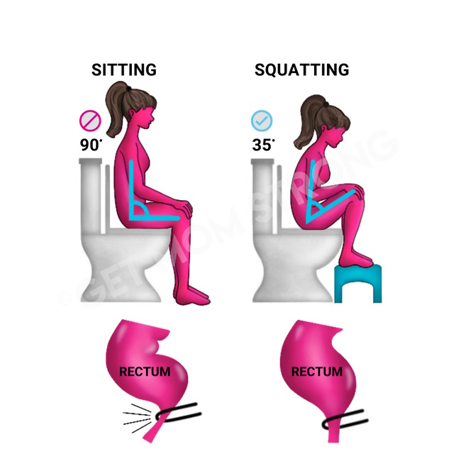 squatty potty for constipation